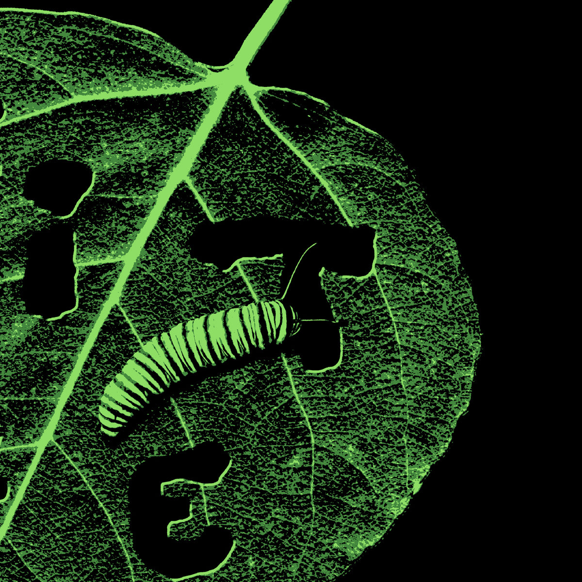 LEAF