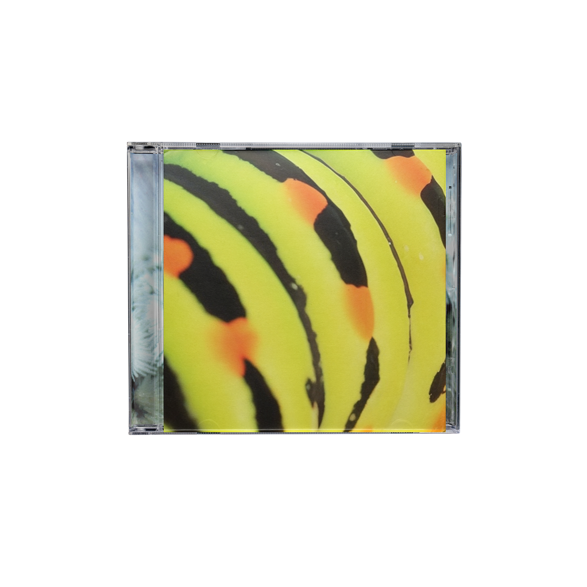 COCOON CD